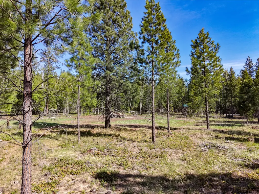 Lot 2c Liberty Lane Libby MT 59923