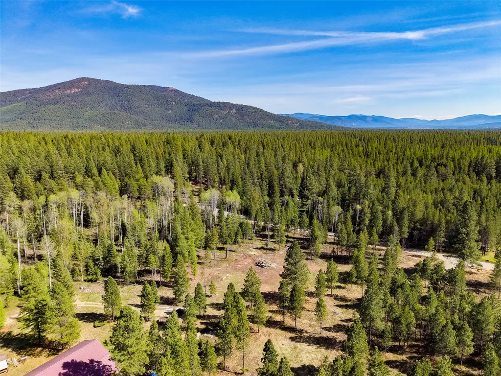 Lot 2c Liberty Lane Libby MT 59923