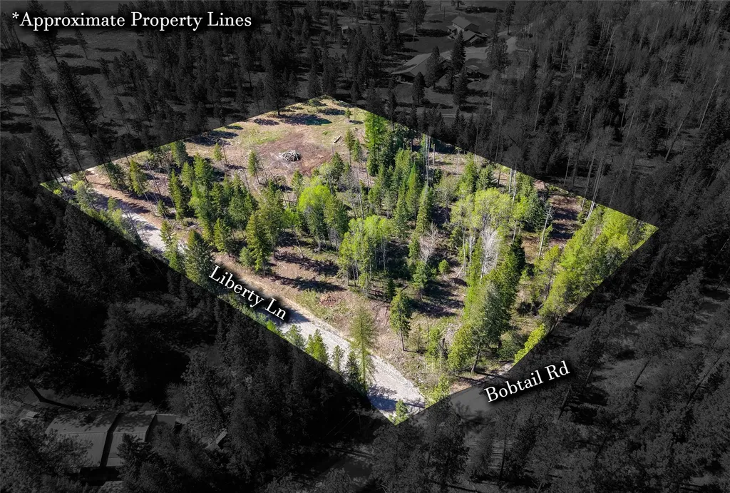 Lot 2c Liberty Lane Libby MT 59923