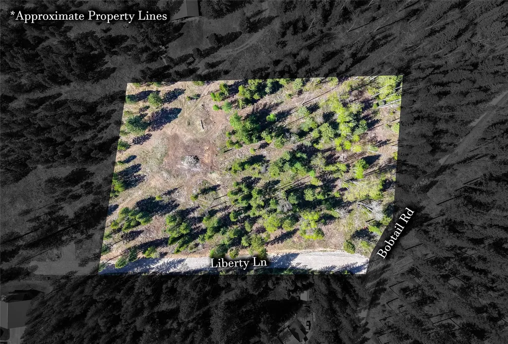 Lot 2c Liberty Lane Libby MT 59923