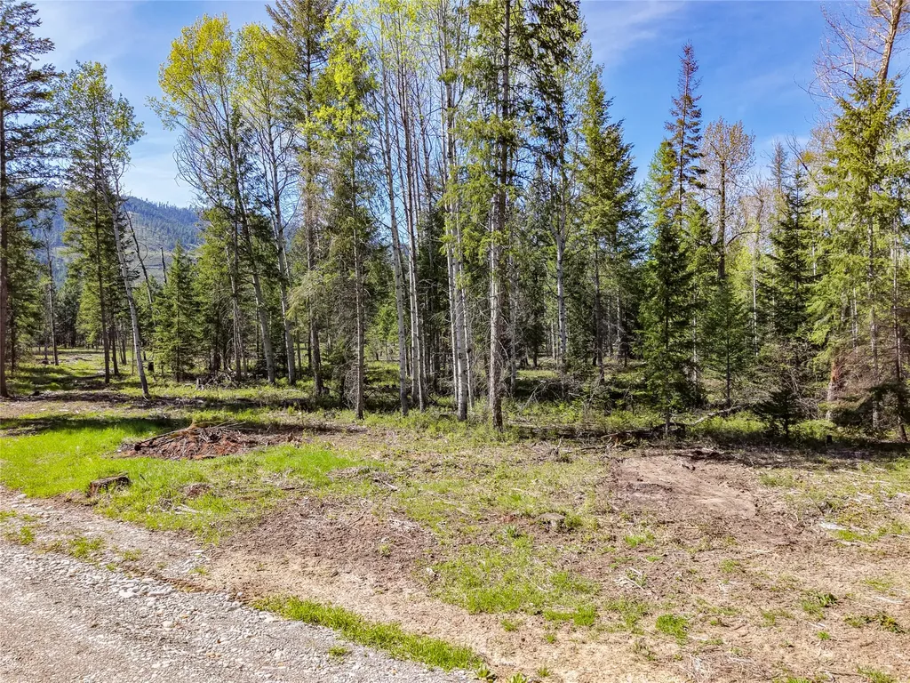 Lot 2c Liberty Lane Libby MT 59923
