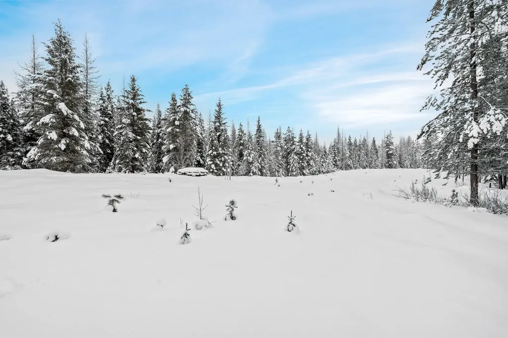 15633 North Fork Road Polebridge MT 59928