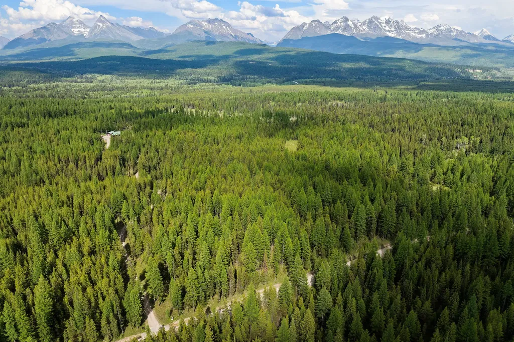 15633 North Fork Road Polebridge MT 59928