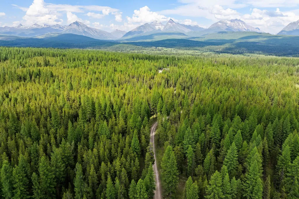 15633 North Fork Road Polebridge MT 59928
