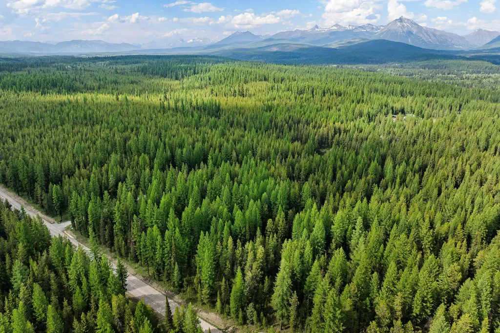 15633 North Fork Road Polebridge MT 59928