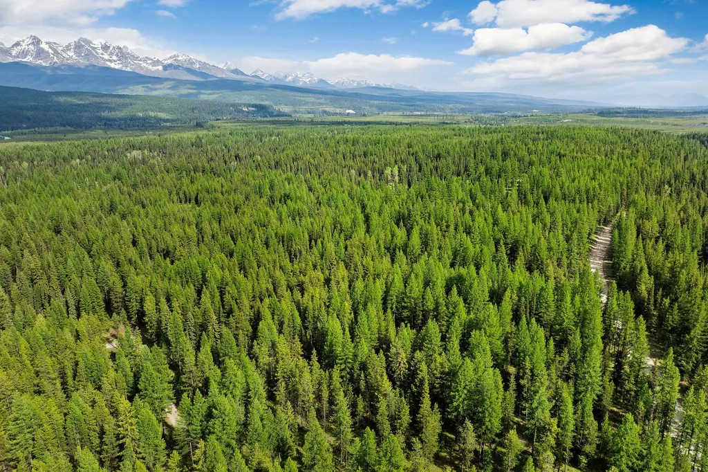 15633 North Fork Road Polebridge MT 59928