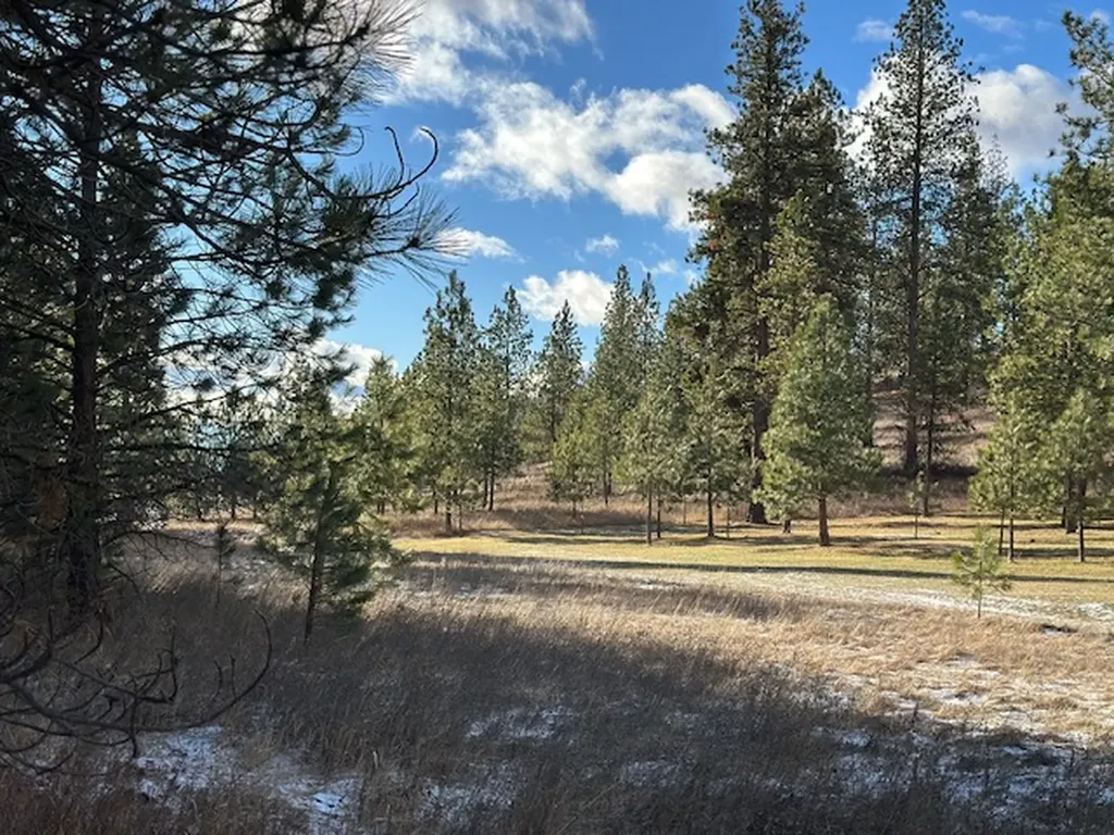 31861 Meadow Road Polson MT 59860