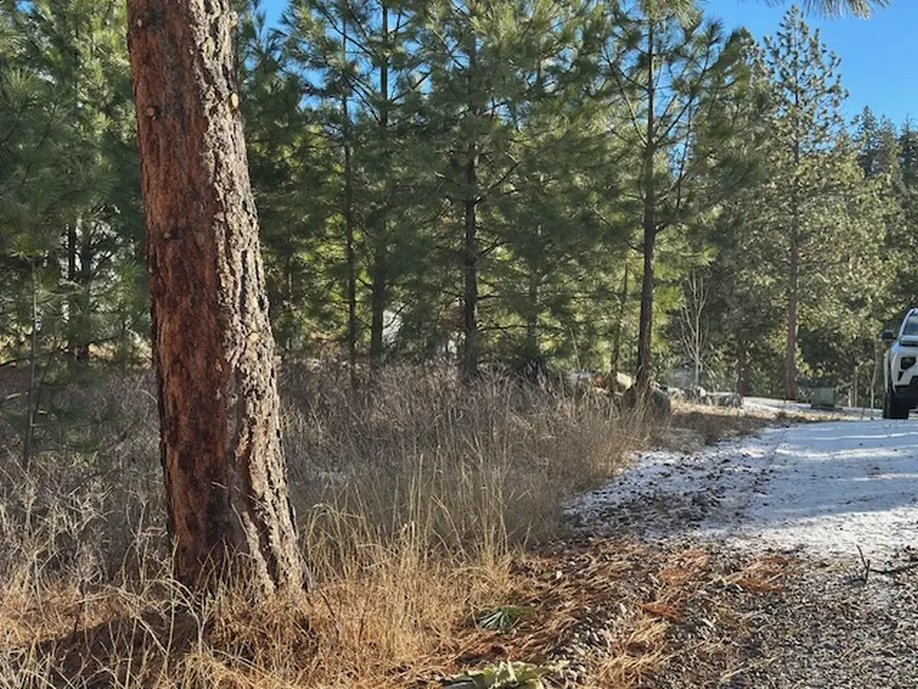 31861 Meadow Road Polson MT 59860