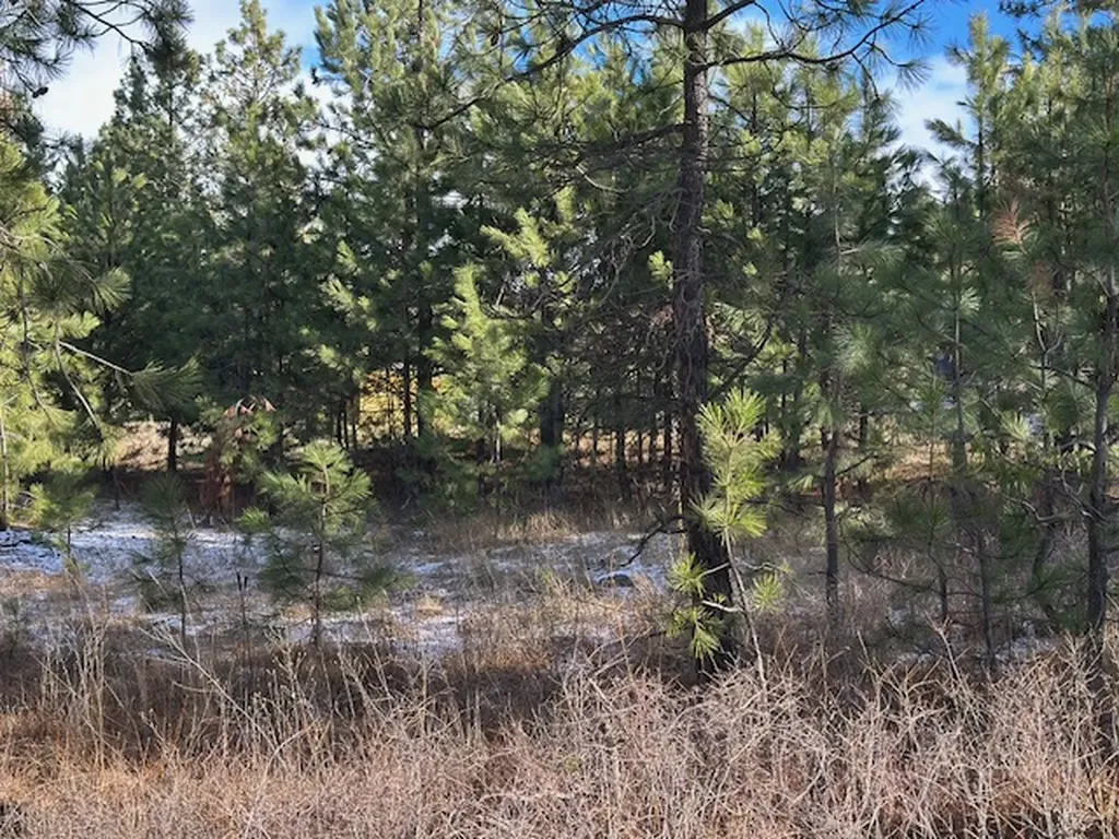 31861 Meadow Road Polson MT 59860