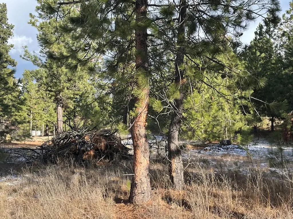 31861 Meadow Road Polson MT 59860