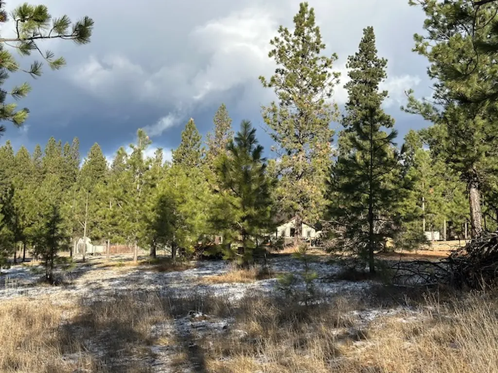 31861 Meadow Road Polson MT 59860