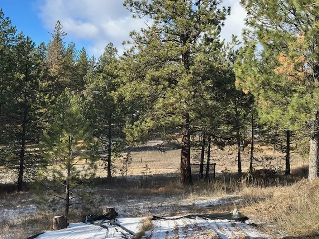 31861 Meadow Road Polson MT 59860