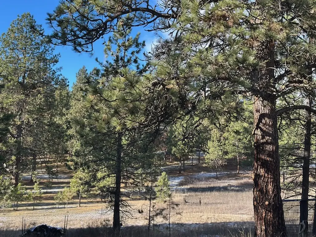 31861 Meadow Road Polson MT 59860