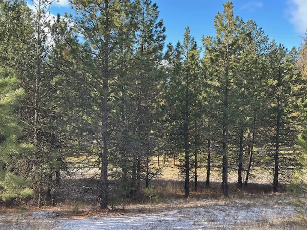 31861 Meadow Road Polson MT 59860