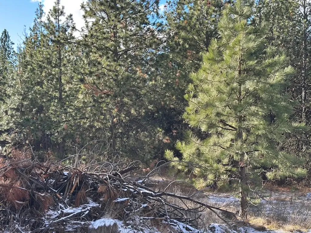 31861 Meadow Road Polson MT 59860