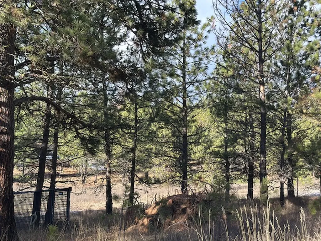 31861 Meadow Road Polson MT 59860