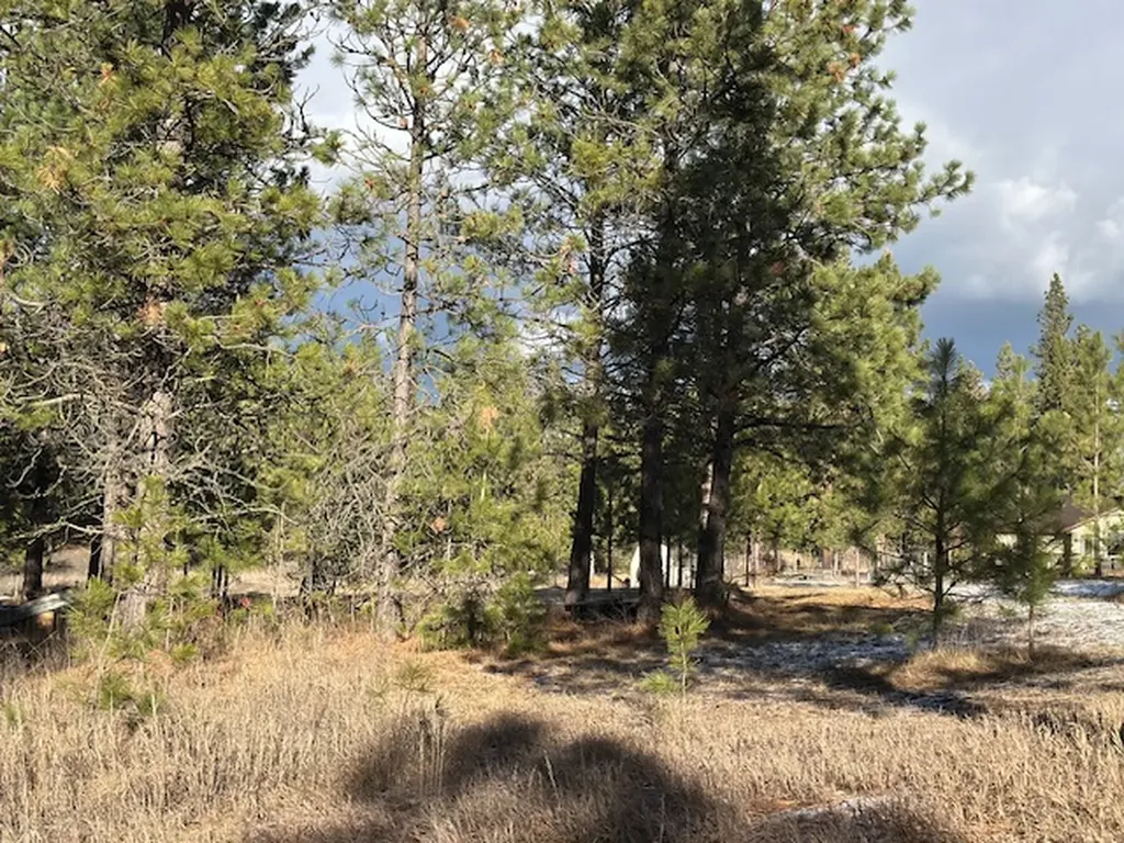 31861 Meadow Road Polson MT 59860