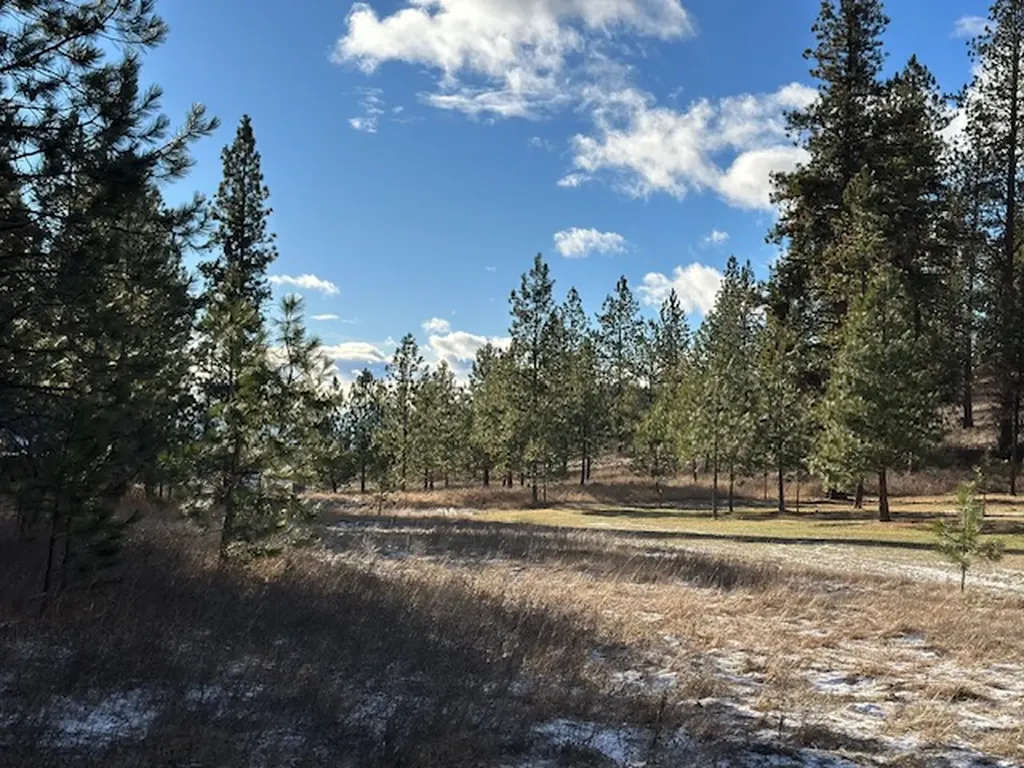 31861 Meadow Road Polson MT 59860