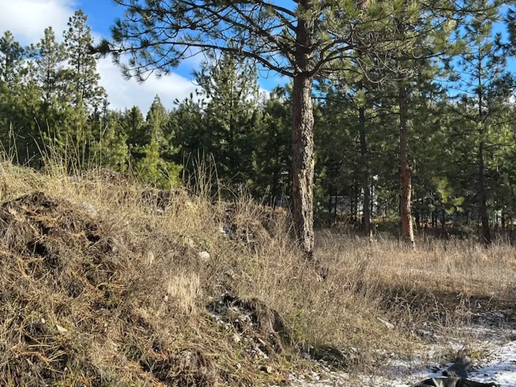 31861 Meadow Road Polson MT 59860