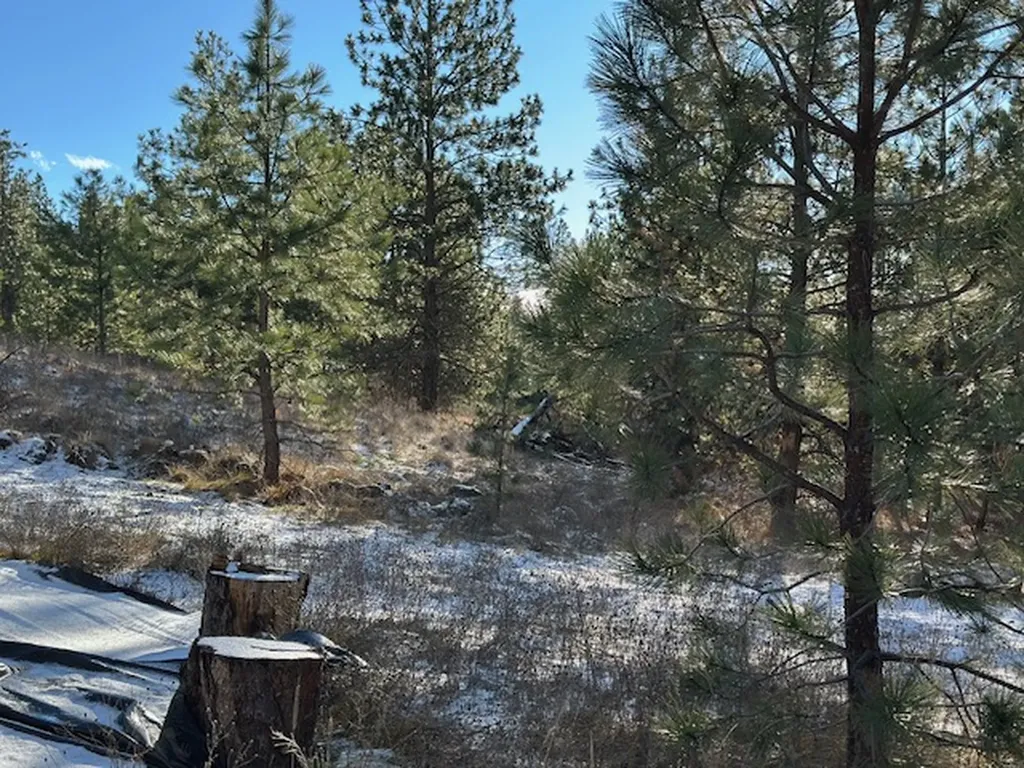 31861 Meadow Road Polson MT 59860