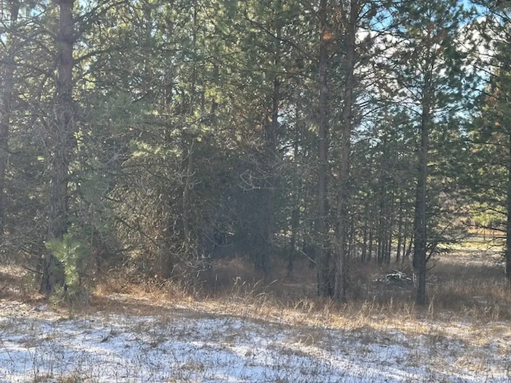 31861 Meadow Road Polson MT 59860