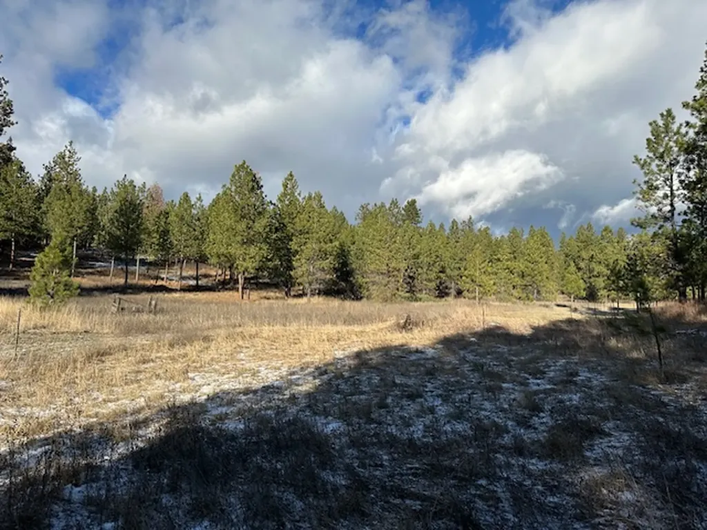 31861 Meadow Road Polson MT 59860