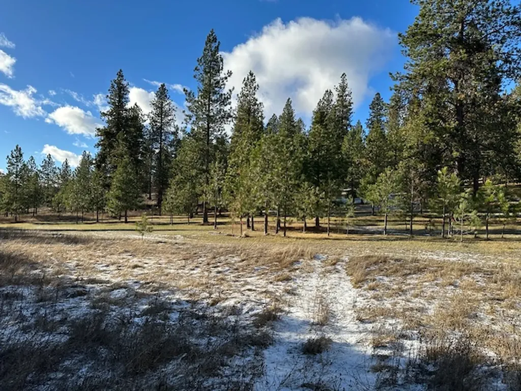 31861 Meadow Road Polson MT 59860