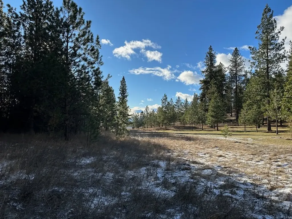 31861 Meadow Road Polson MT 59860