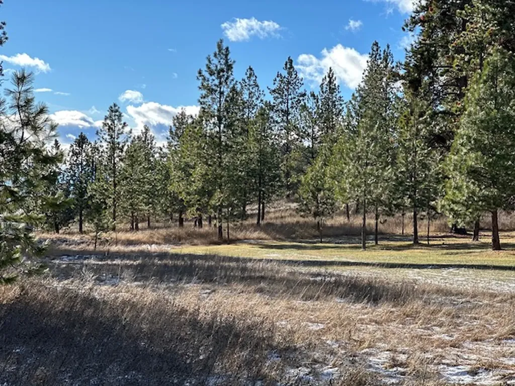31861 Meadow Road Polson MT 59860