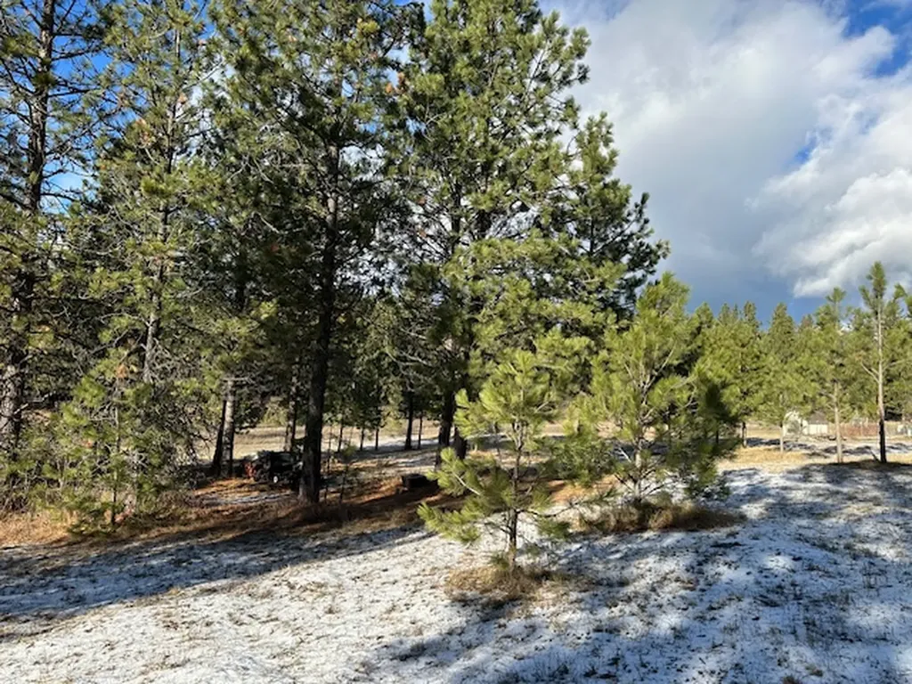 31861 Meadow Road Polson MT 59860