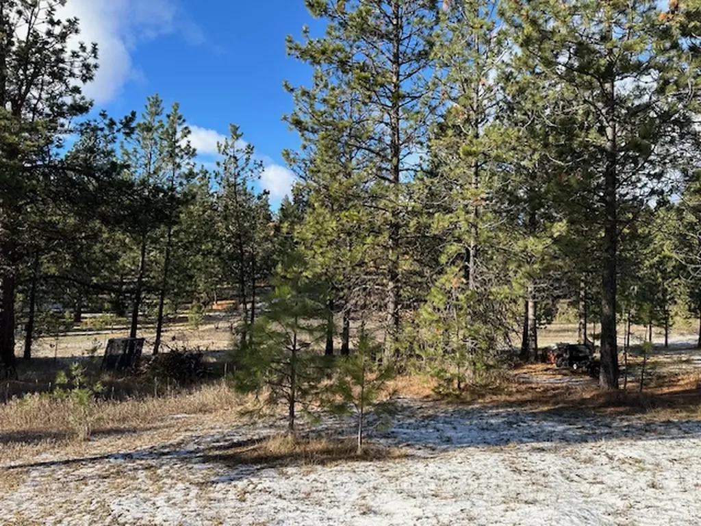 31861 Meadow Road Polson MT 59860