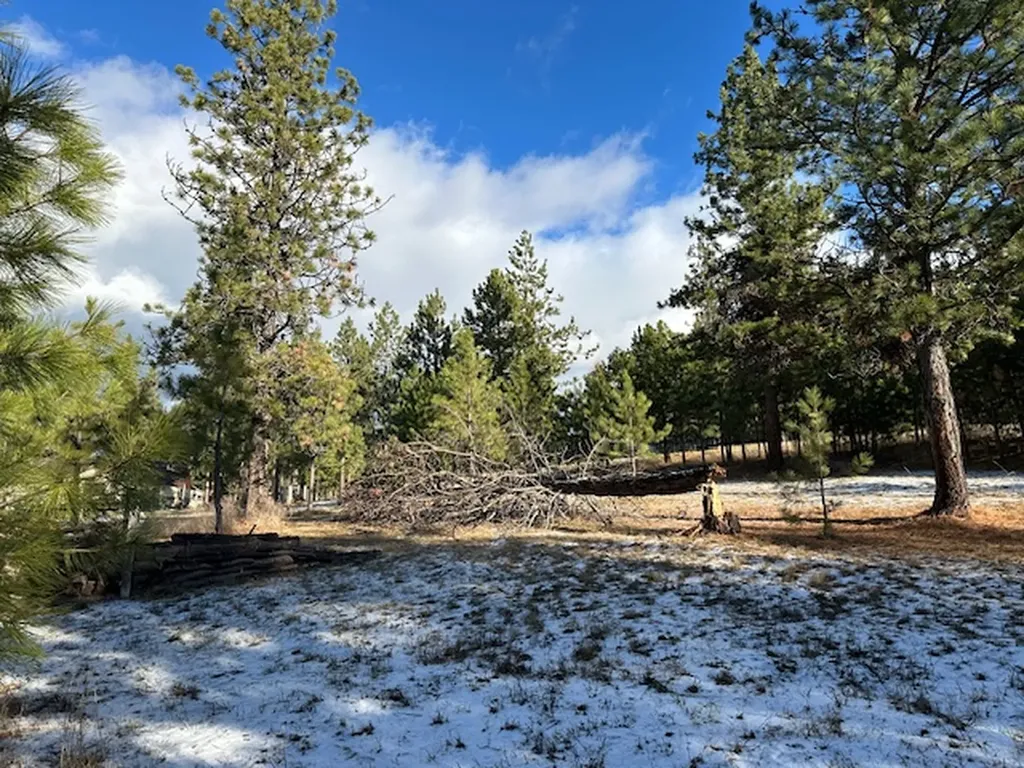 31861 Meadow Road Polson MT 59860
