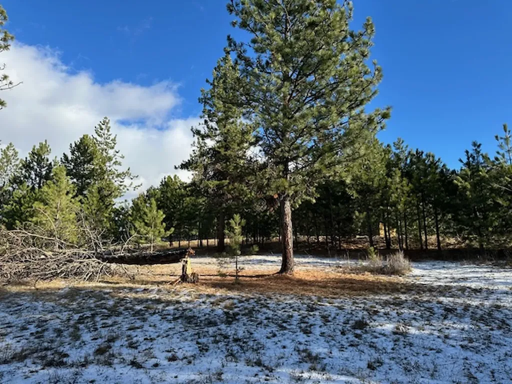 31861 Meadow Road Polson MT 59860
