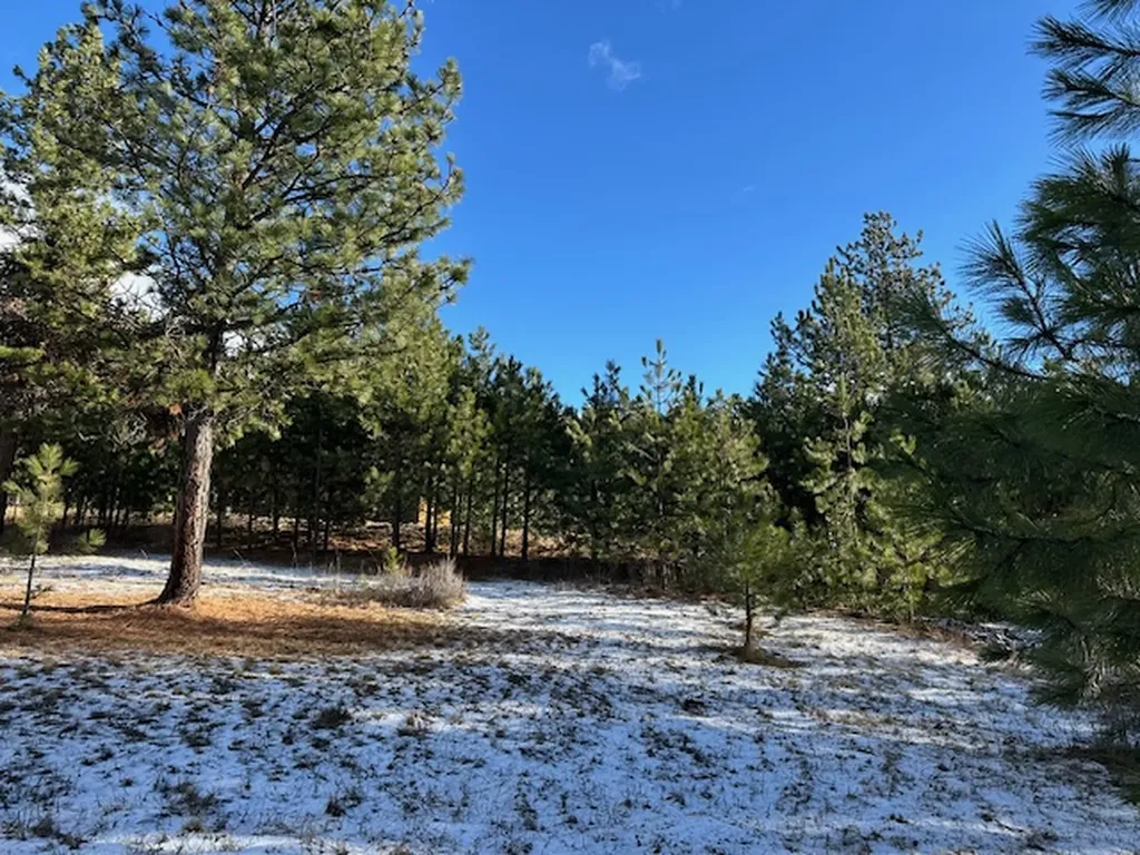 31861 Meadow Road Polson MT 59860