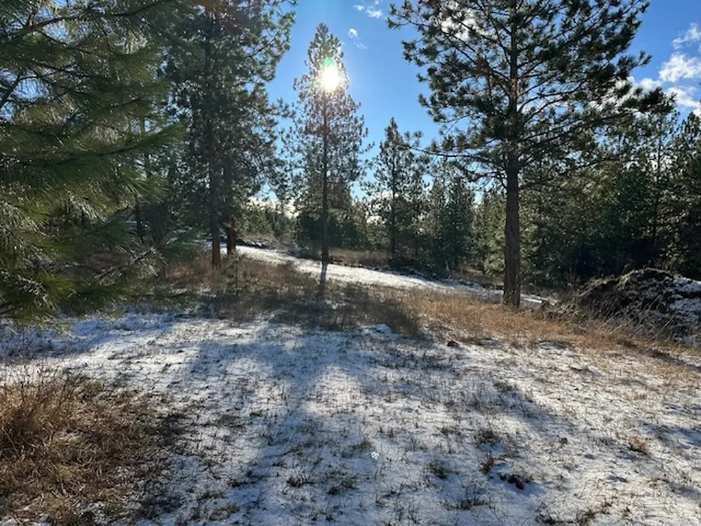 31861 Meadow Road Polson MT 59860