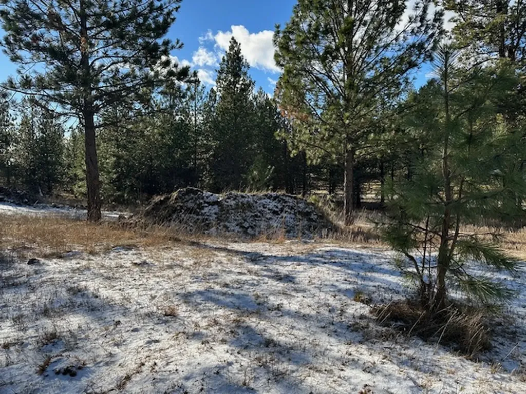 31861 Meadow Road Polson MT 59860