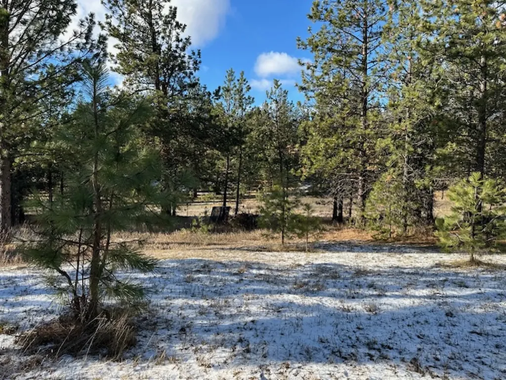 31861 Meadow Road Polson MT 59860