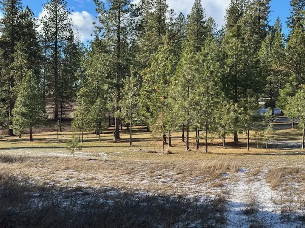 31861 Meadow Road Polson MT 59860