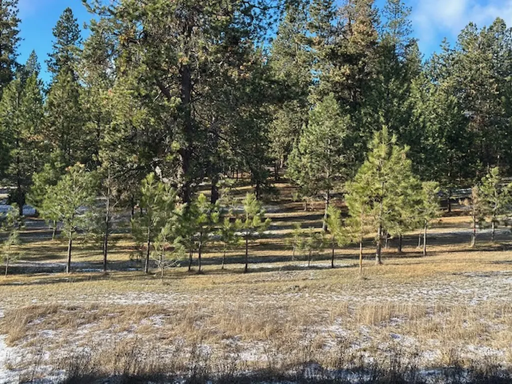 31861 Meadow Road Polson MT 59860