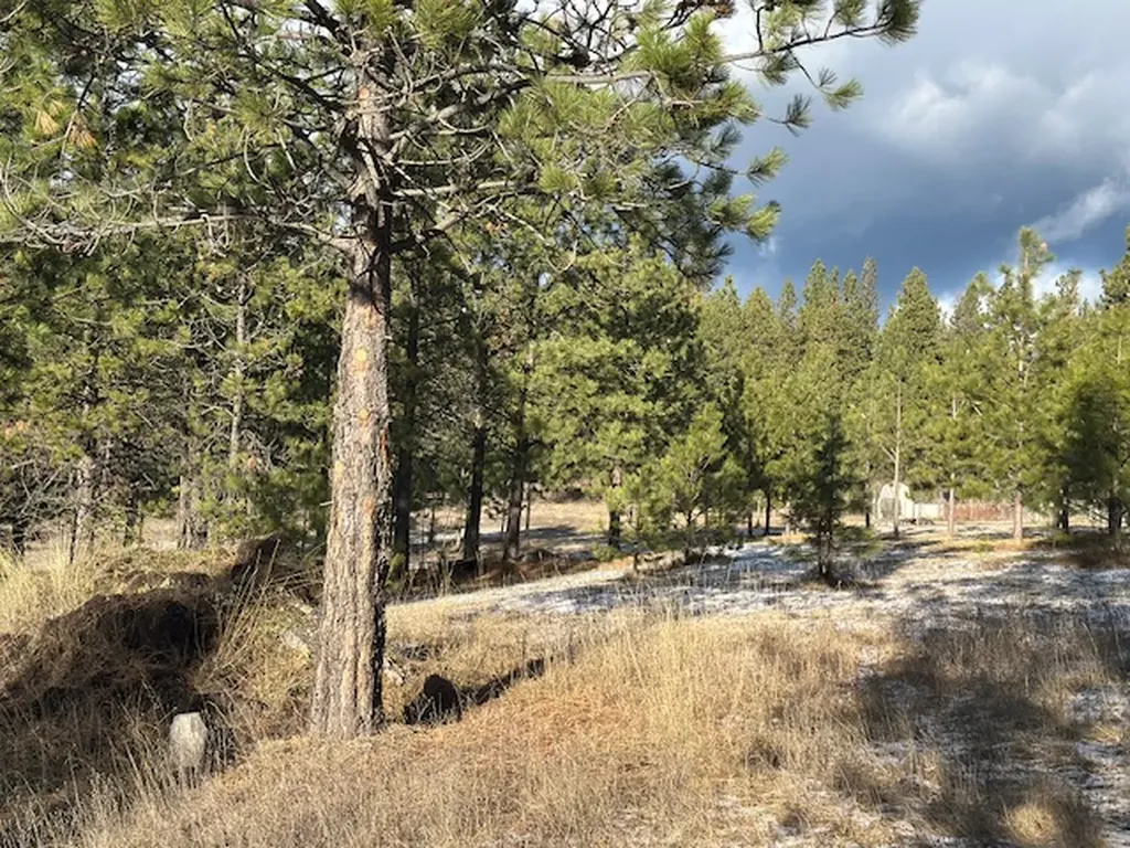 31861 Meadow Road Polson MT 59860