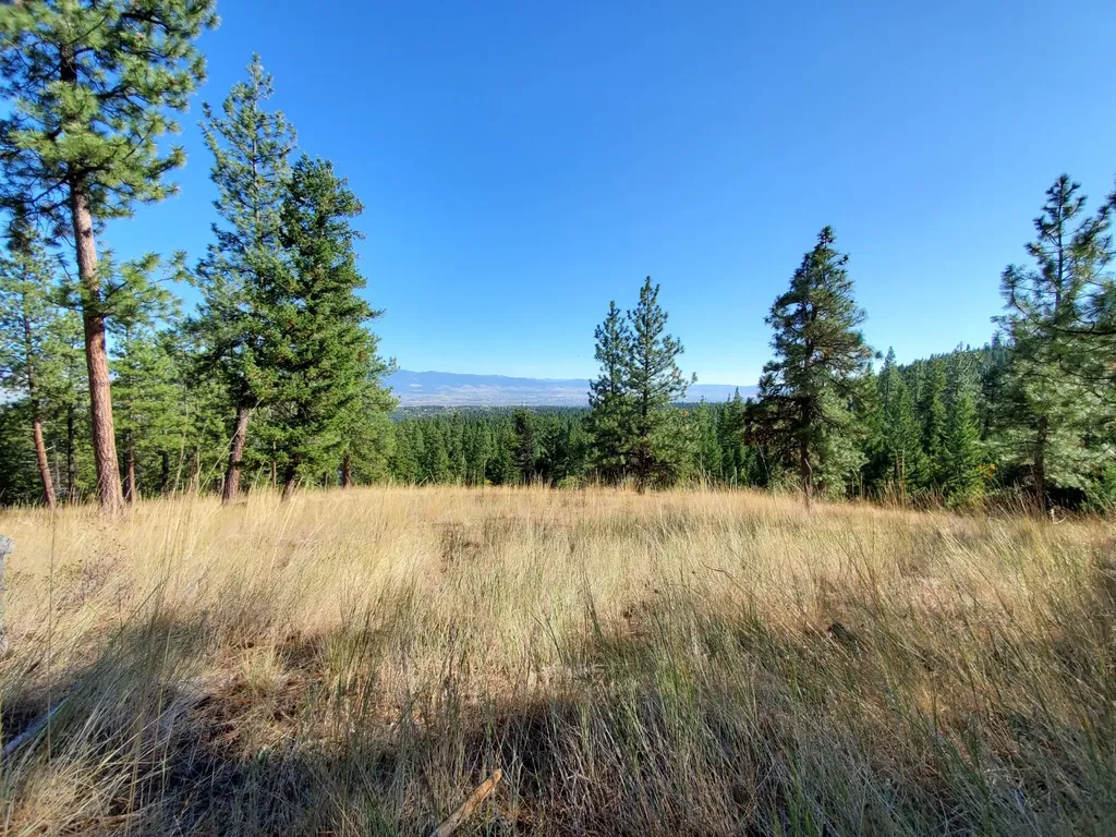 Na Elizabeth Road Victor MT 59875