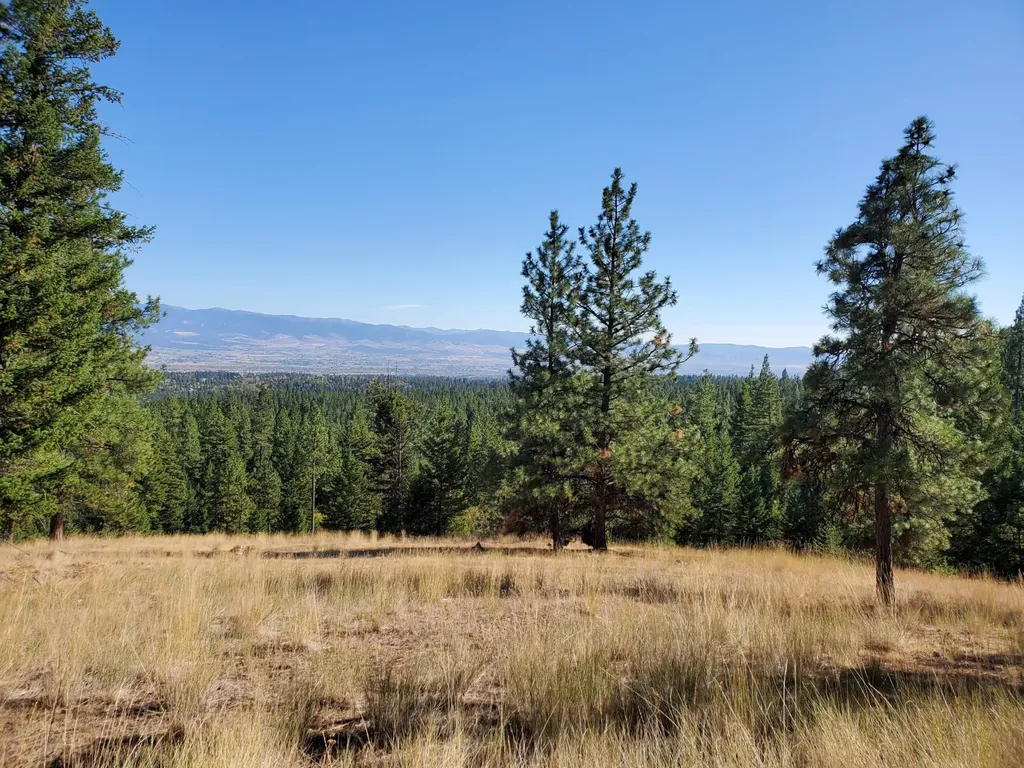 Na Elizabeth Road Victor MT 59875