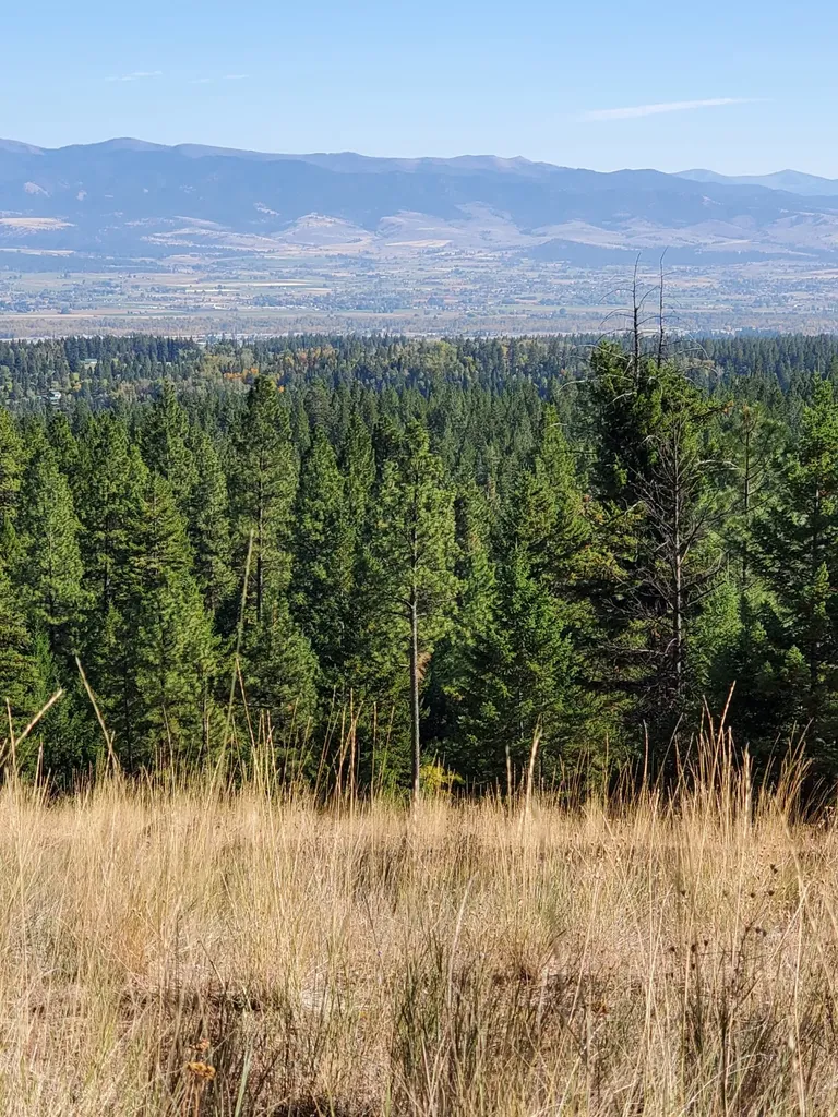 Na Elizabeth Road Victor MT 59875