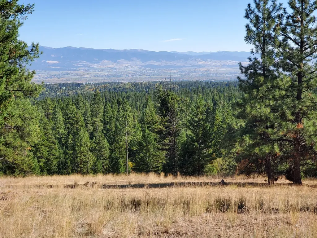 Na Elizabeth Road Victor MT 59875