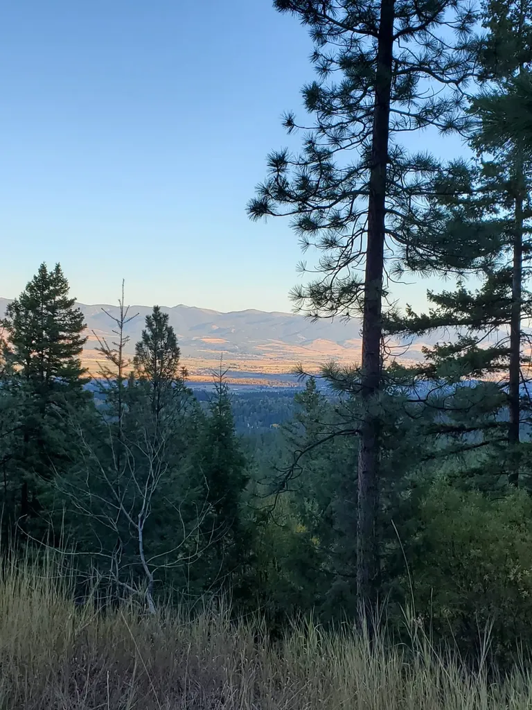 Na Elizabeth Road Victor MT 59875