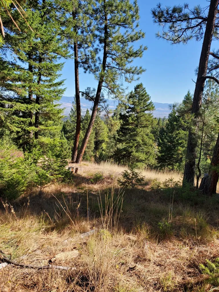 Na Elizabeth Road Victor MT 59875