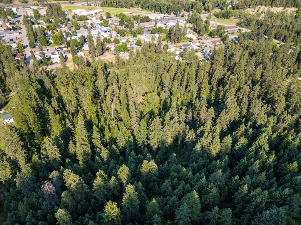 Tbd E Dent Avenue Troy MT 59935