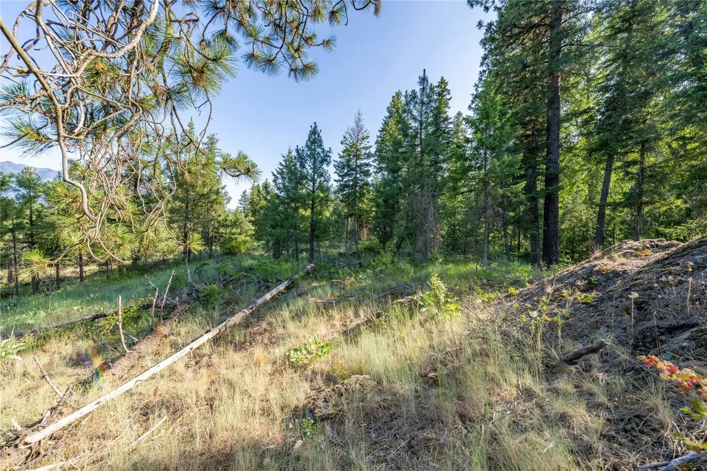 Tbd E Dent Avenue Troy MT 59935
