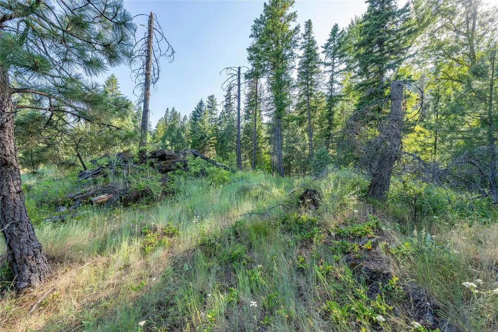 Tbd E Dent Avenue Troy MT 59935
