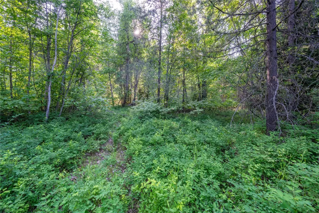 Tbd E Dent Avenue Troy MT 59935
